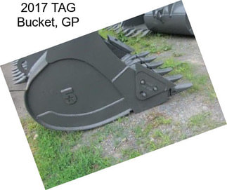 2017 TAG Bucket, GP