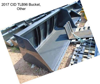 2017 CID TLB96 Bucket, Other