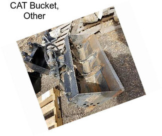 CAT Bucket, Other