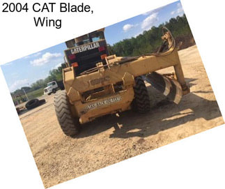 2004 CAT Blade, Wing