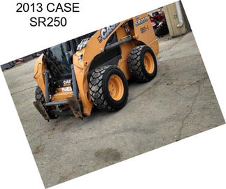 2013 CASE SR250