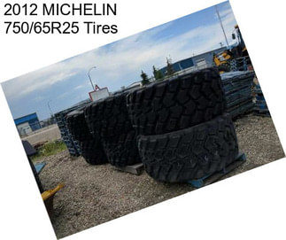 2012 MICHELIN 750/65R25 Tires