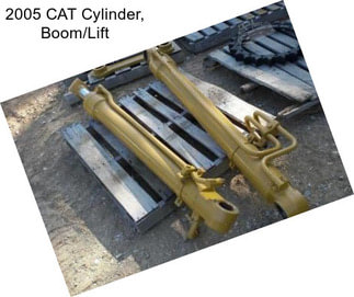 2005 CAT Cylinder, Boom/Lift