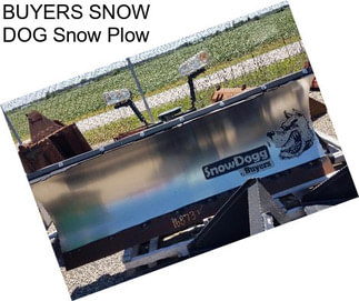 BUYERS SNOW DOG Snow Plow