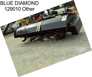 BLUE DIAMOND 129010 Other