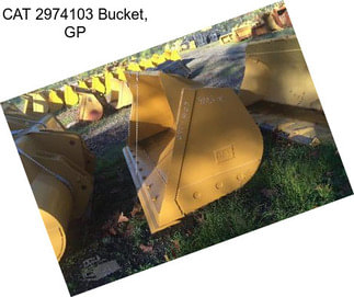 CAT 2974103 Bucket, GP