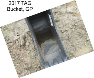 2017 TAG Bucket, GP