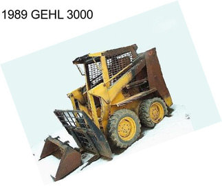 1989 GEHL 3000