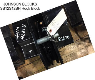 JOHNSON BLOCKS SB12S12BH Hook Block