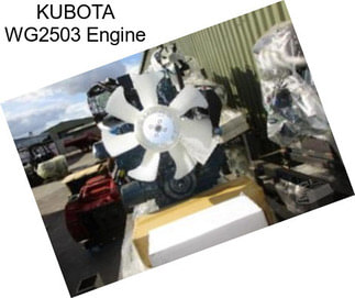 KUBOTA WG2503 Engine
