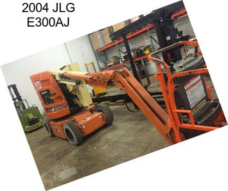 2004 JLG E300AJ