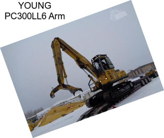 YOUNG PC300LL6 Arm