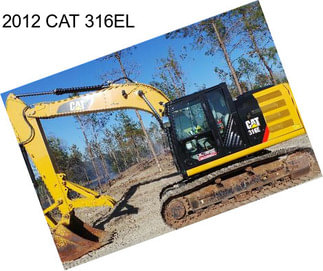 2012 CAT 316EL