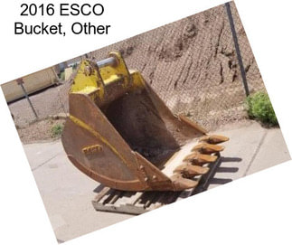 2016 ESCO Bucket, Other