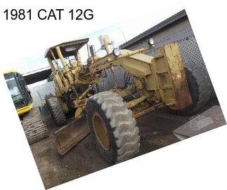 1981 CAT 12G