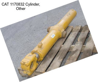 CAT 1170832 Cylinder, Other