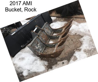2017 AMI Bucket, Rock