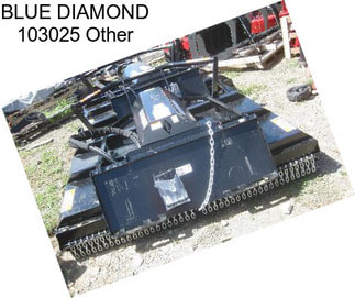 BLUE DIAMOND 103025 Other