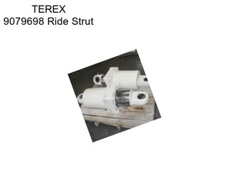 TEREX 9079698 Ride Strut