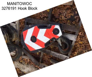MANITOWOC 3276191 Hook Block