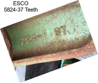 ESCO 5824-37 Teeth