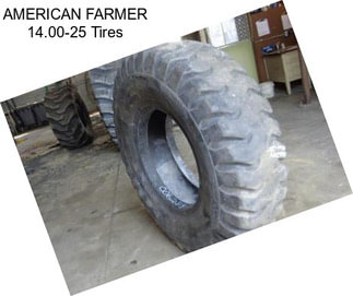 AMERICAN FARMER 14.00-25 Tires