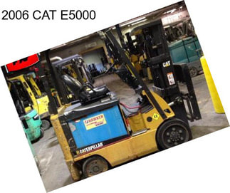 2006 CAT E5000