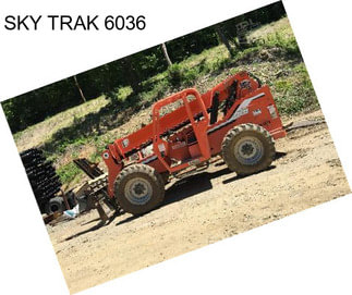 SKY TRAK 6036