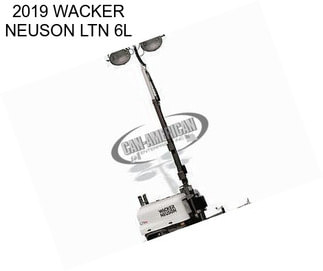 2019 WACKER NEUSON LTN 6L
