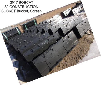 2017 BOBCAT 80\