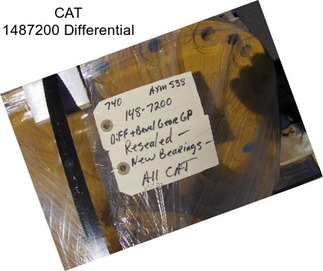 CAT 1487200 Differential