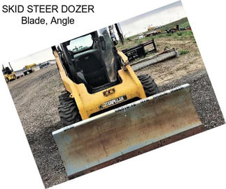 SKID STEER DOZER Blade, Angle