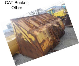 CAT Bucket, Other