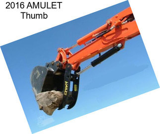 2016 AMULET Thumb