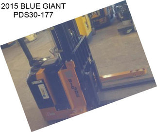 2015 BLUE GIANT PDS30-177