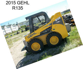 2015 GEHL R135