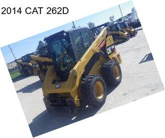 2014 CAT 262D