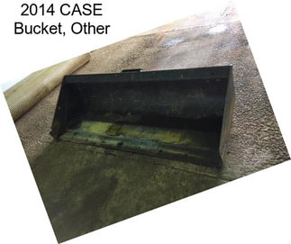 2014 CASE Bucket, Other