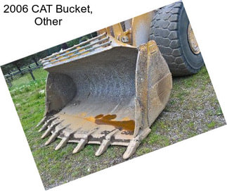 2006 CAT Bucket, Other