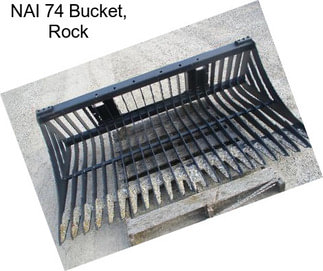 NAI 74 Bucket, Rock