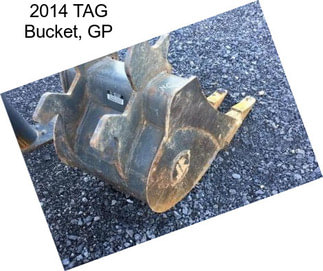 2014 TAG Bucket, GP