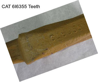 CAT 6I6355 Teeth