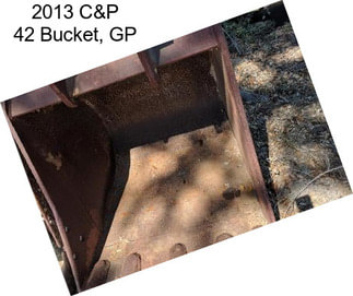 2013 C&P 42 Bucket, GP