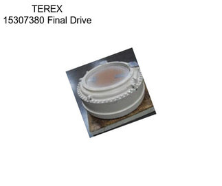 TEREX 15307380 Final Drive