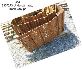 CAT 2307273 Undercarriage, Track Groups