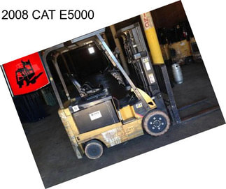 2008 CAT E5000