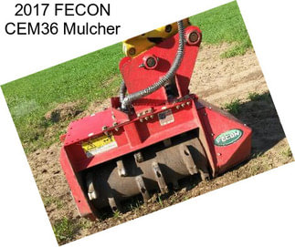 2017 FECON CEM36 Mulcher