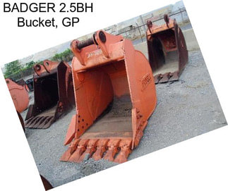 BADGER 2.5BH Bucket, GP