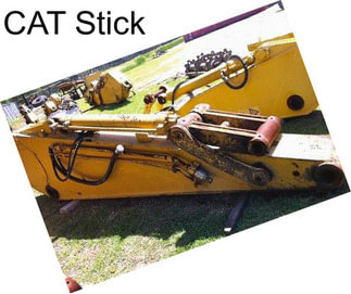 CAT Stick