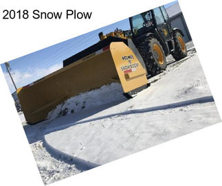 2018 Snow Plow